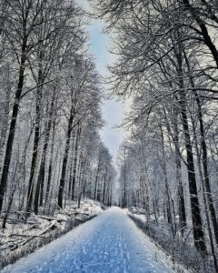 IMG_20210110_221503_366